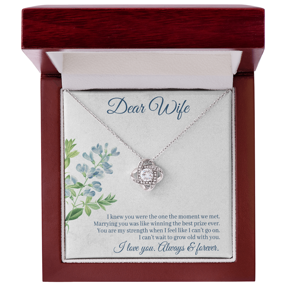 I Knew You Were the One Necklace