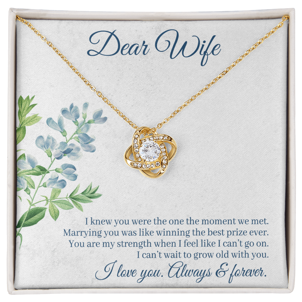 I Knew You Were the One Necklace