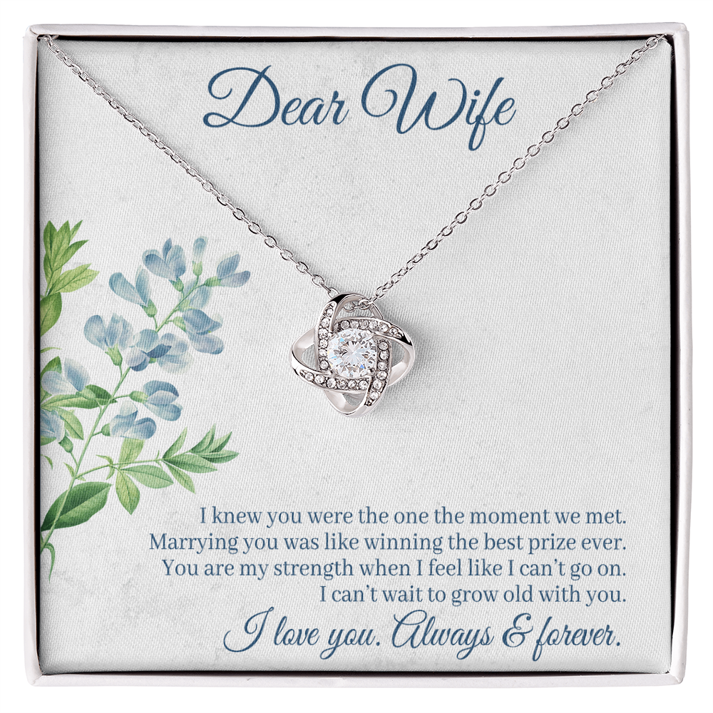 I Knew You Were the One Necklace
