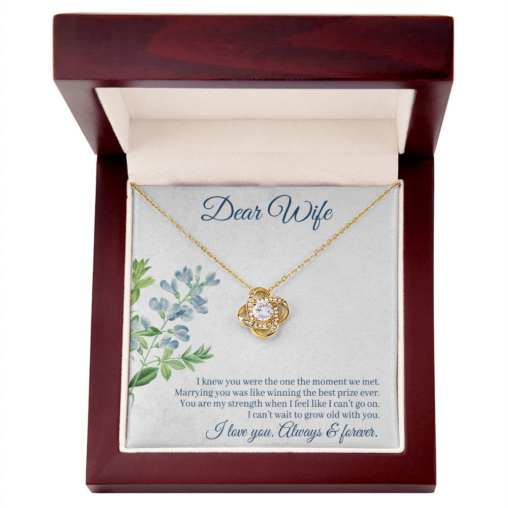 I Knew You Were the One Necklace