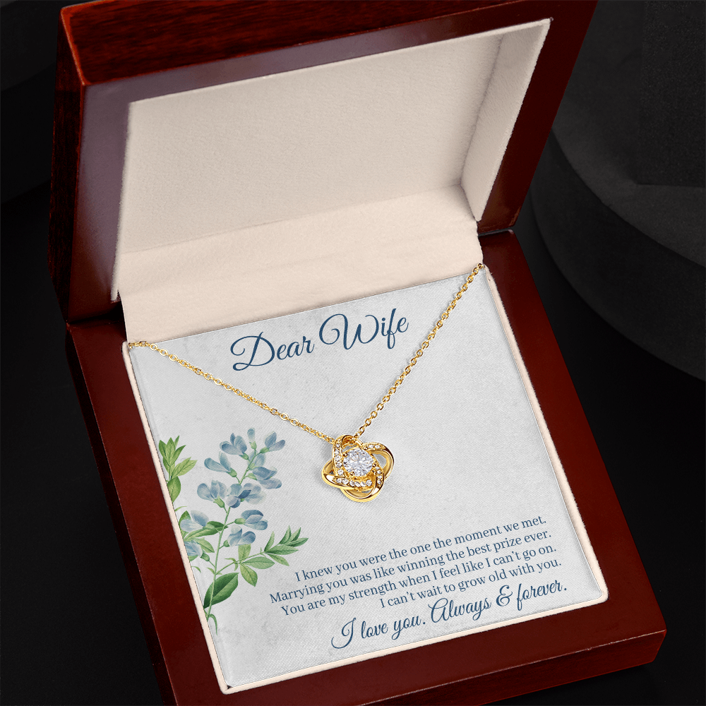 I Knew You Were the One Necklace